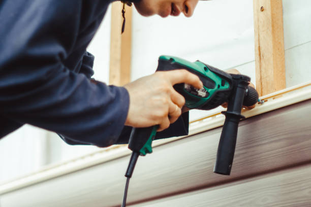 Affordable Siding Repair and Maintenance Services in Mount Morris, MI